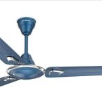 Vector Decorative Fan