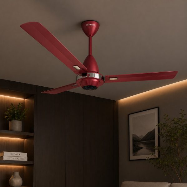 Goldmedal WINZO BLDC 1200 mm Decorative Ceiling Fan – Smart, Silent & Energy Saving